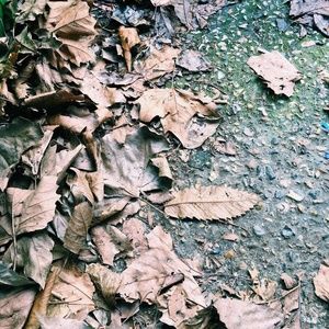 Meet your Posher, Christie